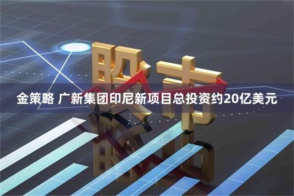金策略 广新集团印尼新项目总投资约20亿美元