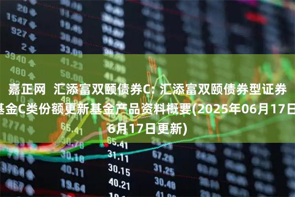 嘉正网  汇添富双颐债券C: 汇添富双颐债券型证券投资基金C类份额更新基金产品资料概要(2025年06月17日更新)