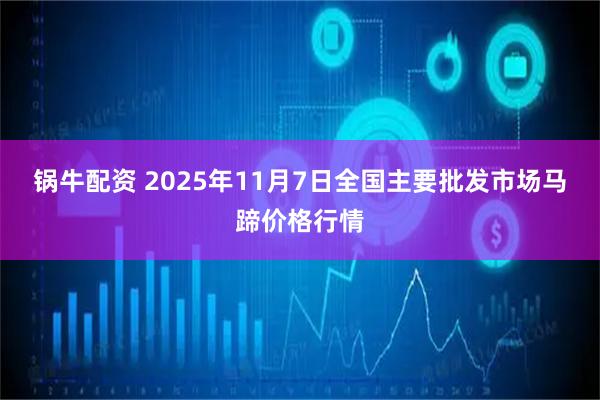 锅牛配资 2025年11月7日全国主要批发市场马蹄价格行情