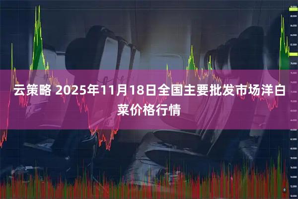 云策略 2025年11月18日全国主要批发市场洋白菜价格行情