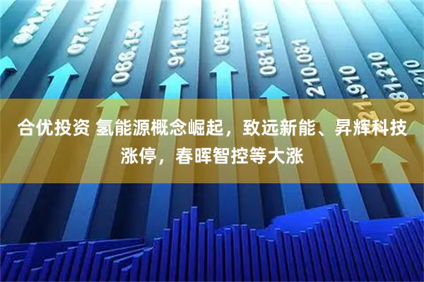 合优投资 氢能源概念崛起，致远新能、昇辉科技涨停，春晖智控等大涨