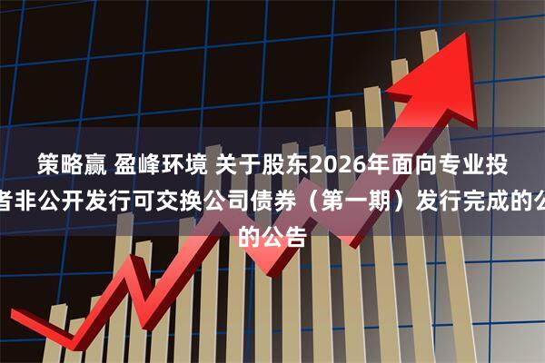 策略赢 盈峰环境 关于股东2026年面向专业投资者非公开发行可交换公司债券（第一期）发行完成的公告